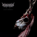 Mental Cruelty - Echoes of a Forlorn Land (Bloodlust LP & LP-Booklet (transp. red Vinyl)