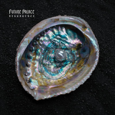 Future Palace - Resurgence (Ltd. CD Edition) Century Media Records Germany 59780