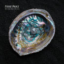 Future Palace - Resurgence (pearlescent lagoon LP)