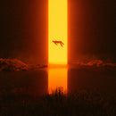 Gaerea - Loss (black LP)